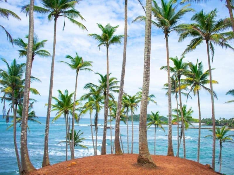 Lanka Villa Mirissa Kültér fotó