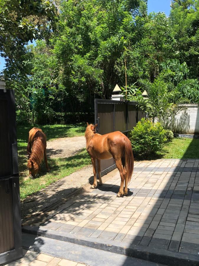 Lanka Villa Mirissa Kültér fotó