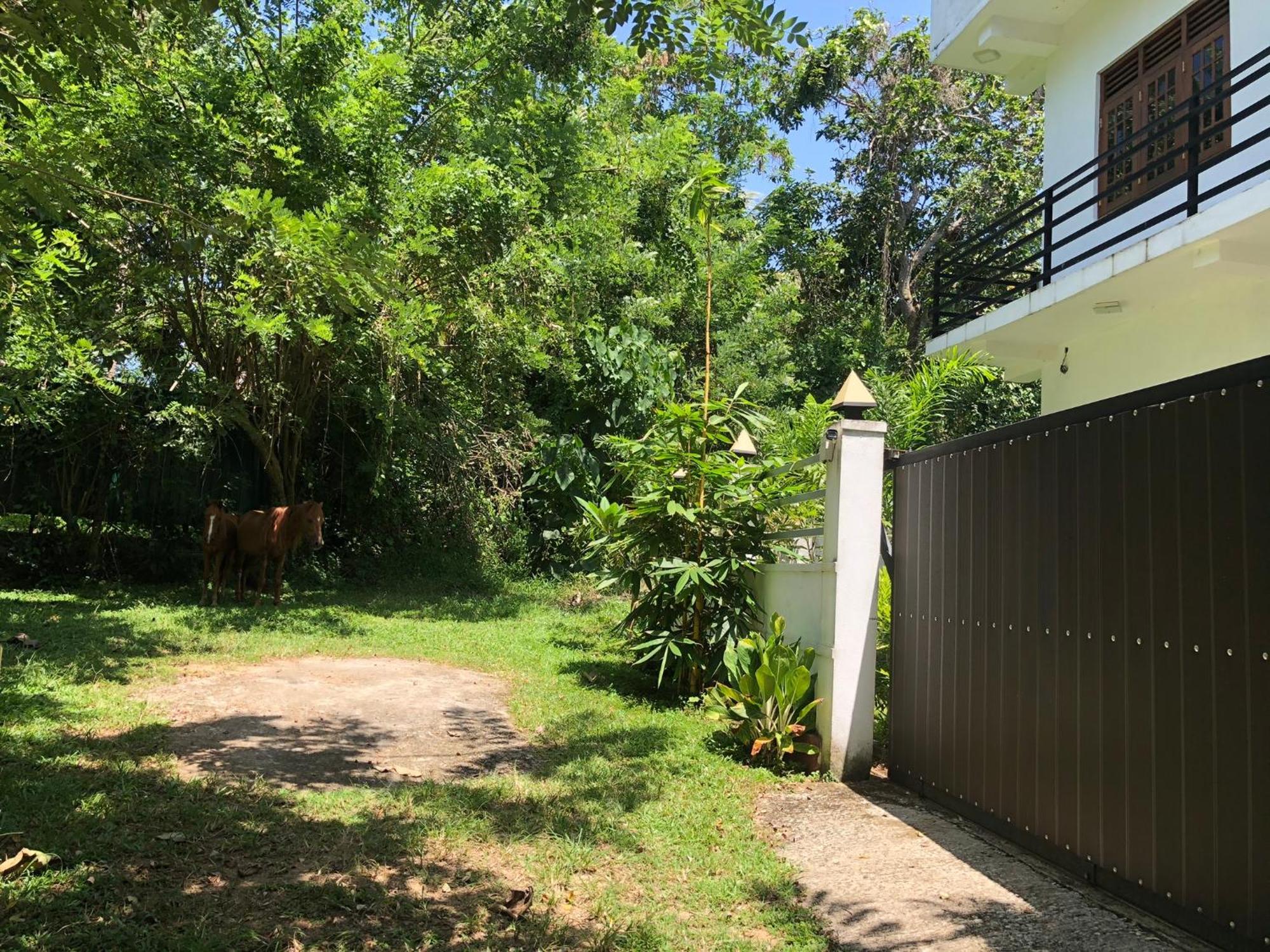 Lanka Villa Mirissa Kültér fotó