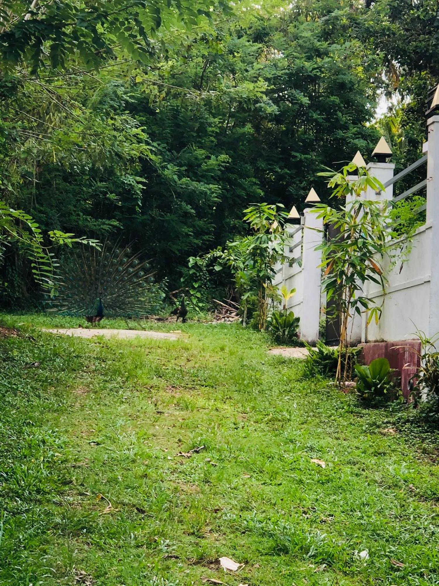 Lanka Villa Mirissa Kültér fotó