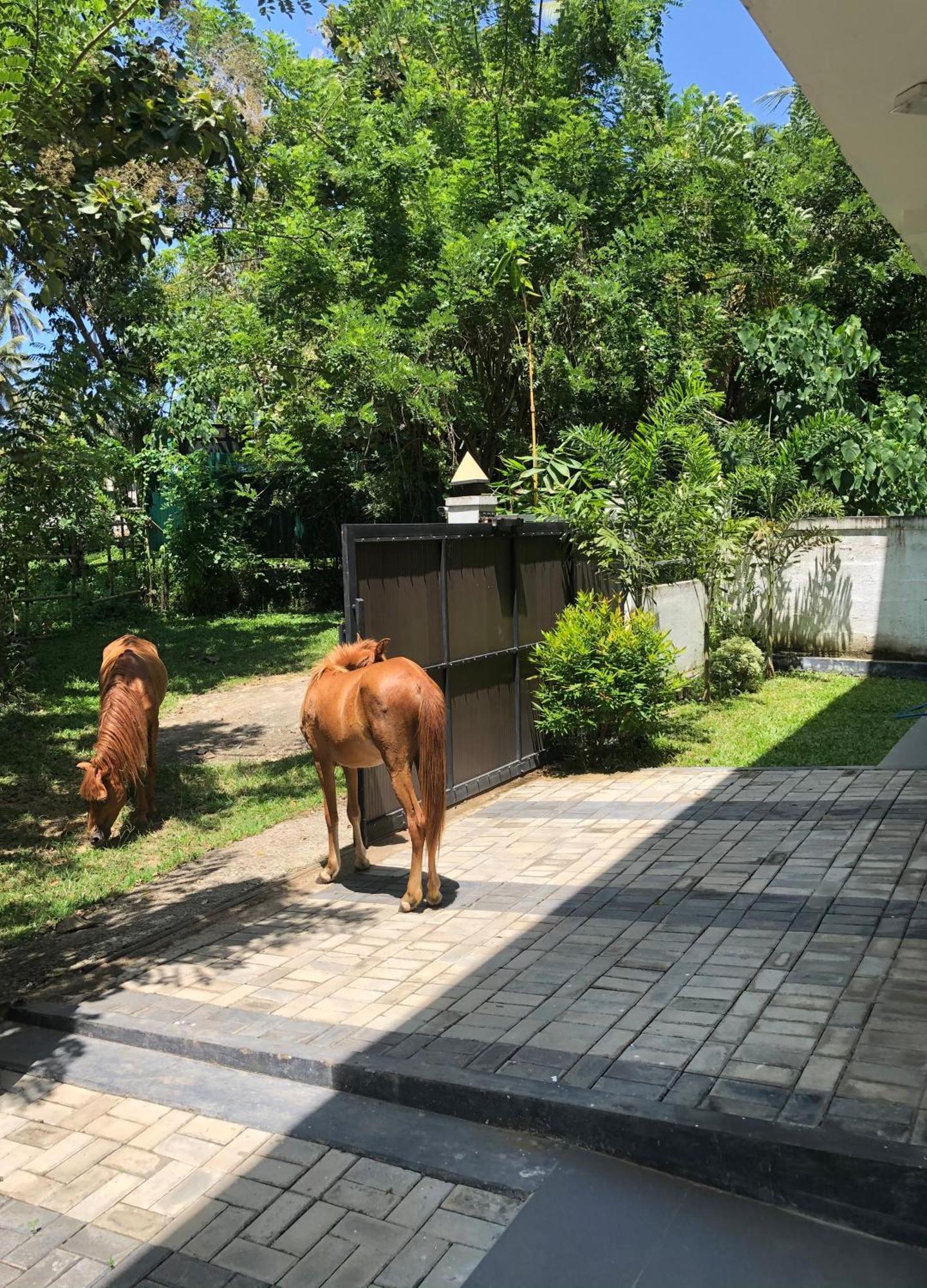 Lanka Villa Mirissa Kültér fotó